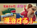 【赤ちゃん劇場】ロディと赤ちゃんをコラボさせるとどうなるのか？→世界の平和が守られました