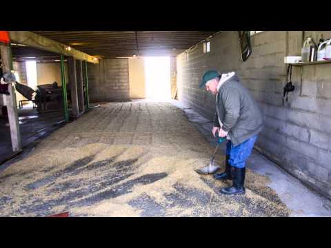 The Malting Process