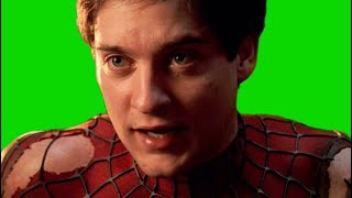 Spiderman 2 green screens