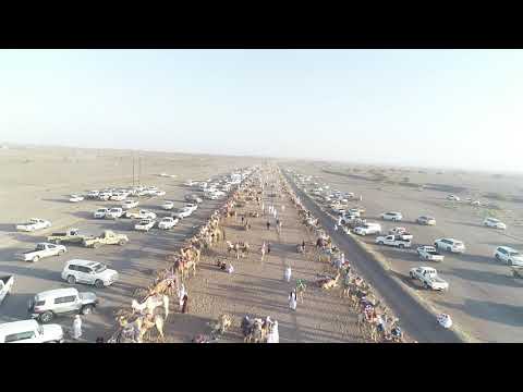 مهرجان المشرف لملتقى الاصايل ٢٠٢٠م