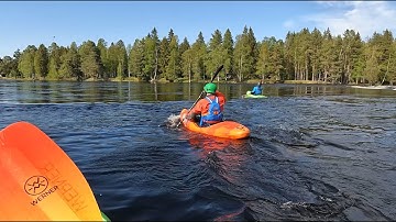 Vårflod i Fänforsen 2024
