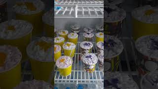 Ready To Sell Black Current Flavour And Mango Flavour