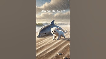 Mèo con cứu cá heo 🐬🐬🐬 #hocvedongian #mèocon