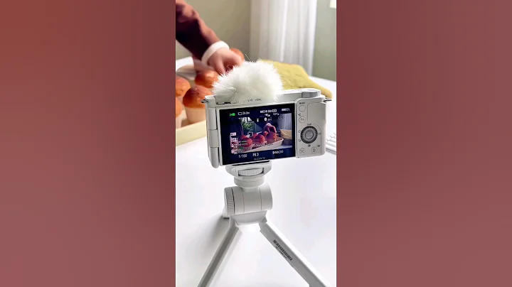 Sony Alpha ZV-E10 & Sony E PZ 16-50mm Lens & Sony GP-VPT2BT Wireless Shooting Grip photography 4k