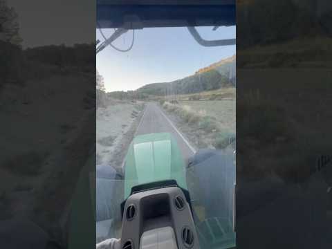 Grimme EVO 290