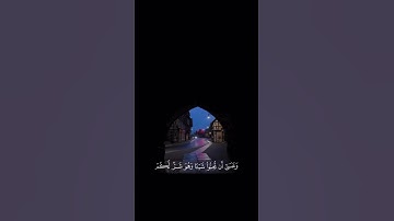 وعسى ان تكرهوا شيئا وهو خير لكم #القارئ ياسر الدوسري