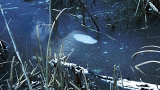 Allinall - In The Dark Halloween Special