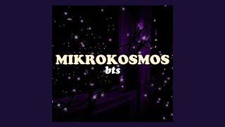 BTS (방탄소년단) - 'Mikrokosmos (소우주)' Easy Lyrics