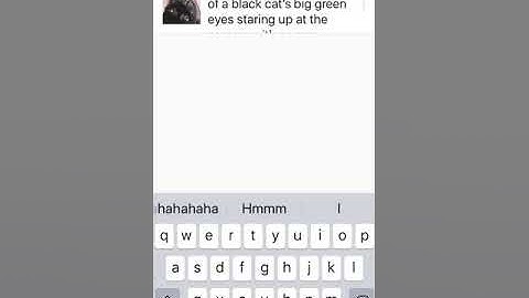 Alt Text on Instagram