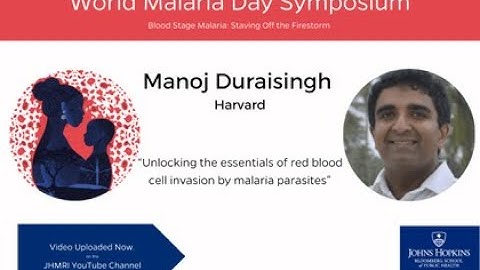 Red Blood Cell Invasion by Malaria Parasites | Manoj Duraisingh