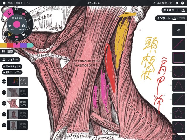Explaining the muscles of the neck - YouTube Explaining the muscles of the neck - YouTube