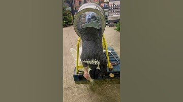 Guy Gets Wrapped In Christmas Tree Net