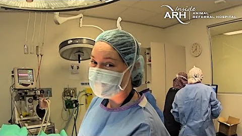 Inside ARH - Dr Barbara Lindsay - Profile