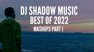 BEST OF 2022 • DJ Shadow Music (Mashups - Part 1 )