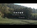 Taiwan, Shizhao Trail 台灣 石棹步道群 2025/01/30