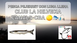 Pesca Pejerrey Laguna La Helvécia #pejerrey #pescar #canals #cordoba #ucacha #pesca #2023