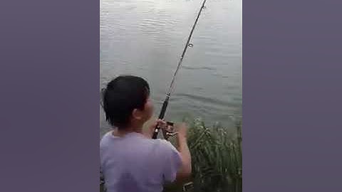 Câu cá tra khủng sông Vàm Cỏ Tây