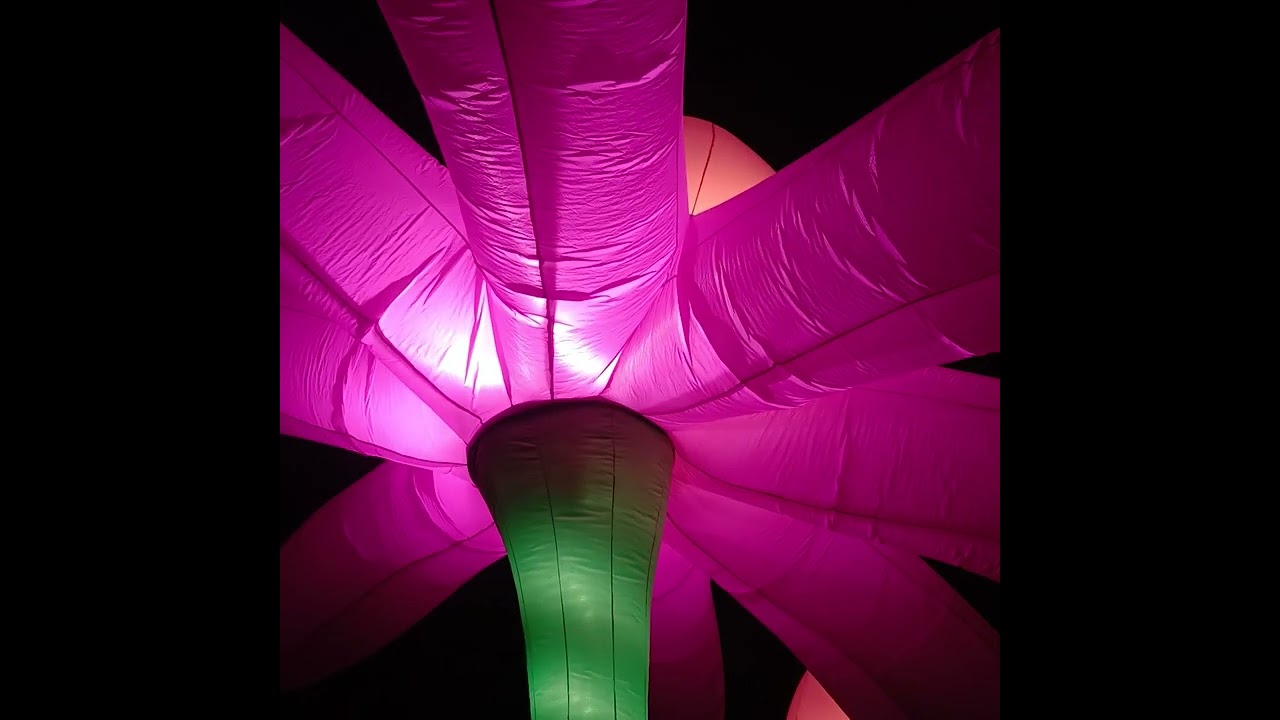 Flower in motion  fleurs de cinq mètres de haut s'épanouissent et se fanent rythme de la musique, 