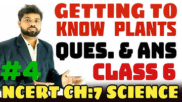 Getting To Know Plants | QUES. & ANS. | Part-4 |  Science/ Biology Class 6 | Science NCERT