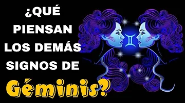 ¿En qué piensa un Géminis?