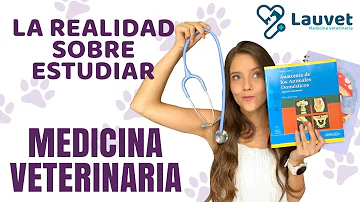 ¿Cómo se dice médico veterinario?