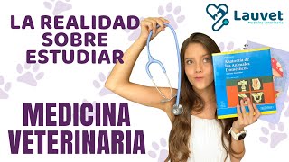 LO QUE DEBES SABER SI QUIERES ESTUDIAR VETERINARIA  Lauvet