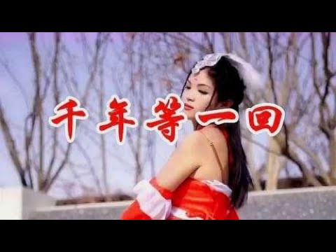 女歌手一首感人情歌《千年等一回》歌词太感动，听得泪流满面