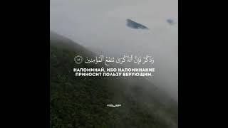 И напоминай, ибо напоминание приносит пользу верующим. [51:55]