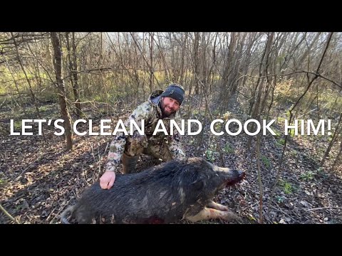 Video: How To Feed A Wild Boar