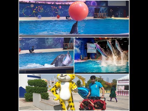 Twins first Dolphin show || Dubai Dolphinarium || NRI twin mother