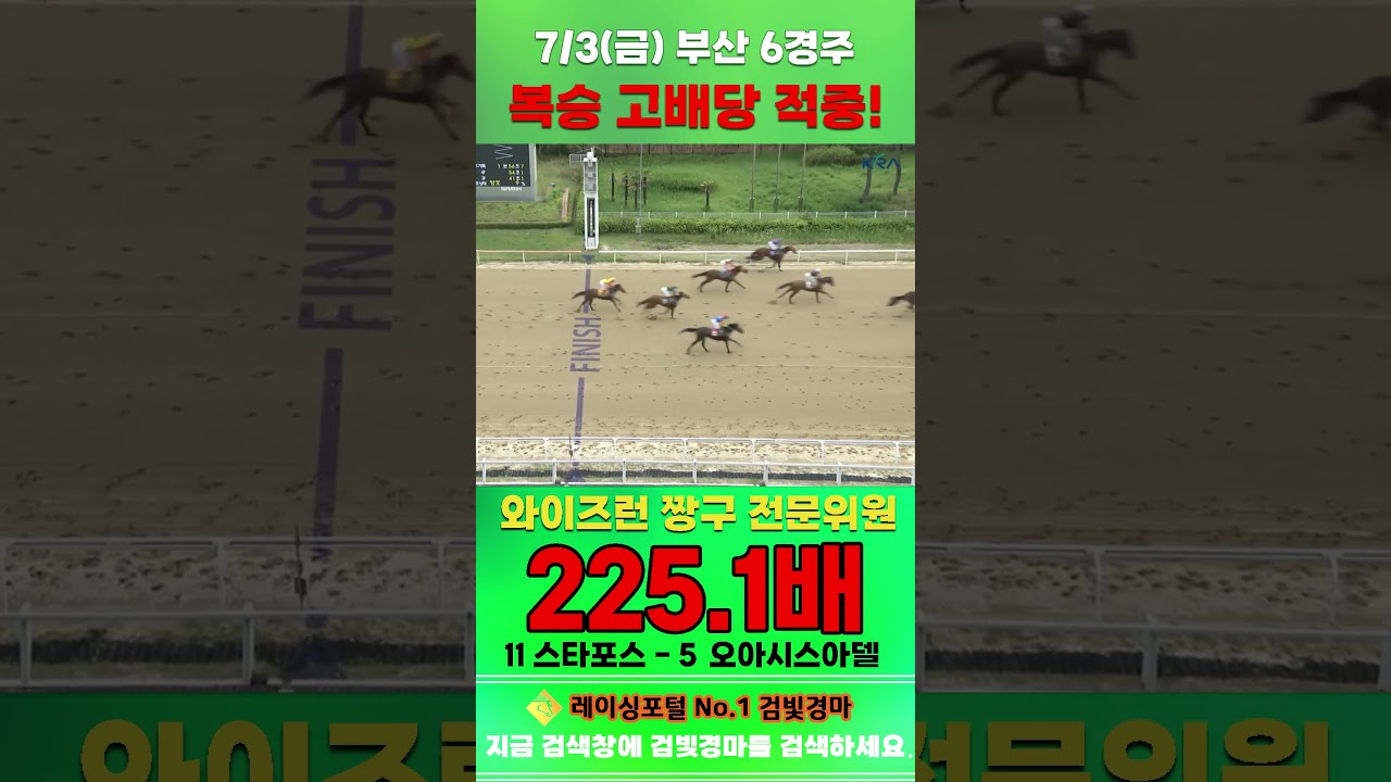 [부산 경마] 7월 3일 금요 6경주 와이즈런 짱구 전문위원 복승 고배당 적중 #경마 #automobile #한국마사회 #horse #하이라이트 #horseracing #게임