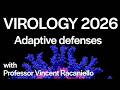 Virology Lectures 2026 14 Adaptive Defenses Virology Lectures 2026 14 Adaptive Defenses