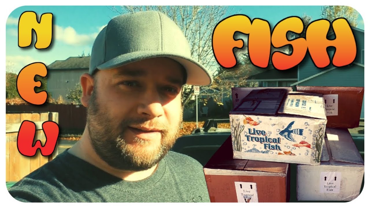 aquarium setup for cichlids NEW FISH!!! - Spend a Day with me in my Fish Room