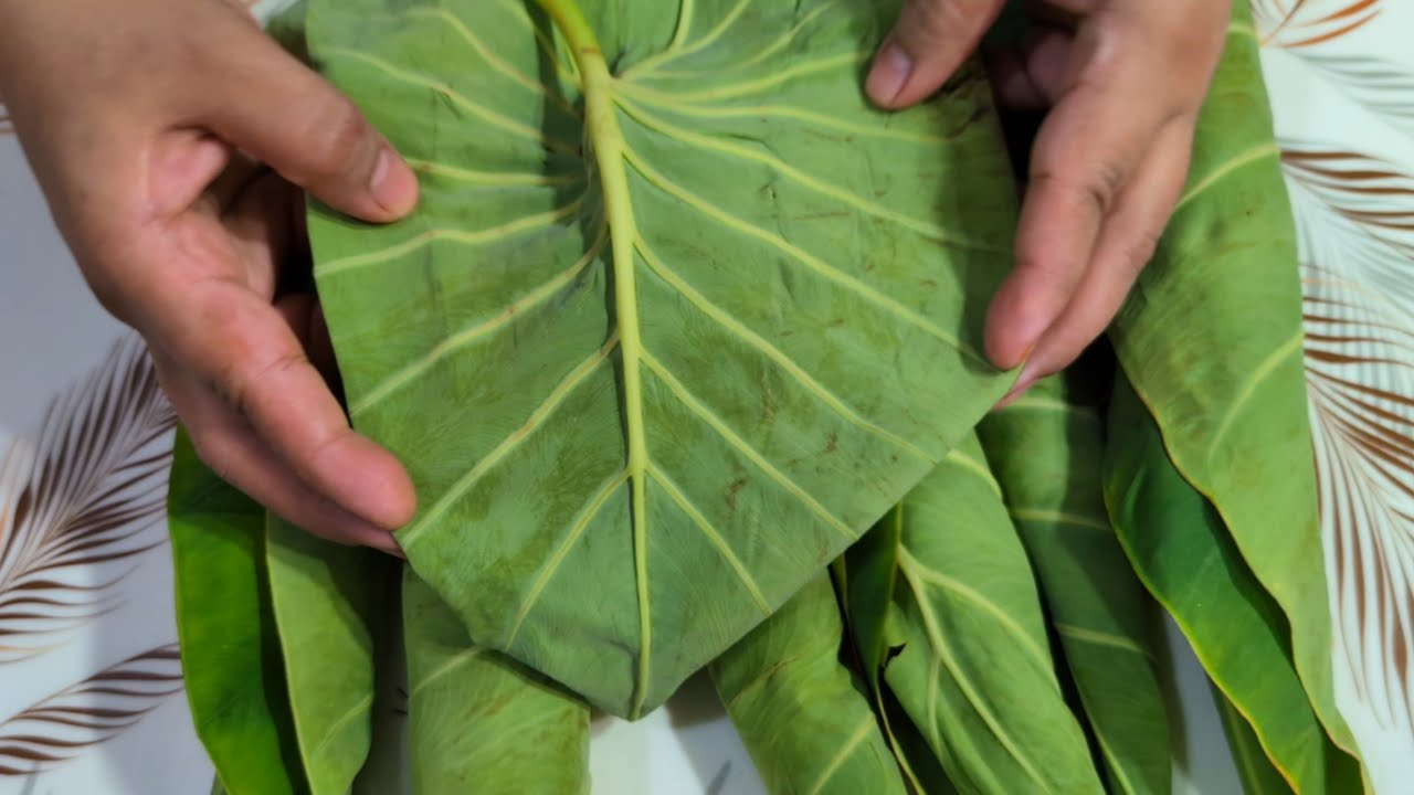 Arvi ke Patte | Salan/Patoor Bnany ka trika