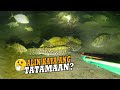 Alin kaya ang tatamaan   episode 153  night spearfishing philippines   drins adventure