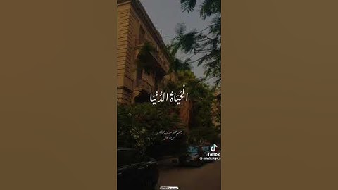 #تدبر_القرآن #المصحف #اكسبلور #المنشاوي #القزابري #القارئ #لايك #السعودية #الرحمن