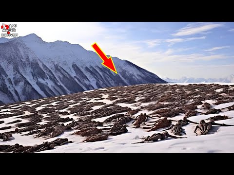 10 Shocking Secrets Mugfaces Are Hiding – A Journey Of Discovery