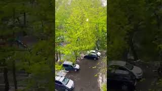 Москва - Воронеж такая разная погода сейчас 8.05.2024 #дача #погода #Москва #Воронеж #Острогожск