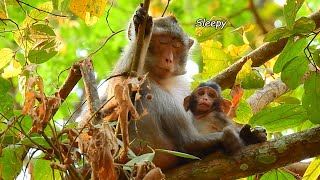 Mother Anna Sleep After She Give A Lot Of Milk To Anissa