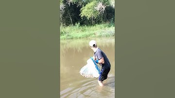 chài đĩa bay #shorls