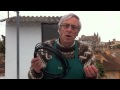 Video Tutorial Huerto Urbano. Paso 6. El riego.