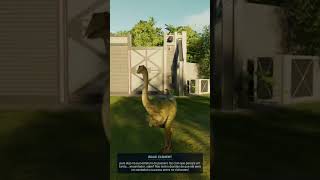 Arqueornitomimo  #jurassicworld #jurassicworldevolution #dinosaur #dinossauro #animal #curiosidades
