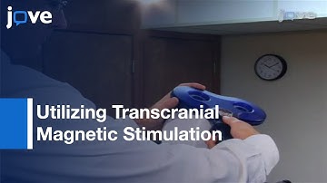 Utilizing Transcranial Magnetic Stimulation: Studying Human Neuromuscular System l Protocol Preview