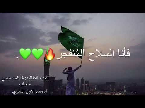 وطني احبك لا بديل