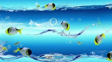 Thumbnail of Frutiger Aero ~𝓝𝓸𝓼𝓽𝓪𝓵𝓰𝓲𝓬~ Playlist