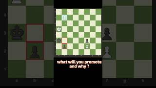 What will you promote and why ?🔥#chess #checkmate #chessstrategy #chessmate #chessculture