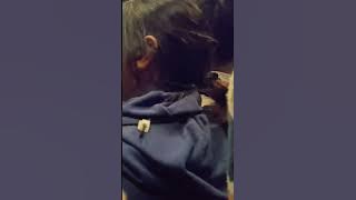 hepi rotesyen persi berdesakan
