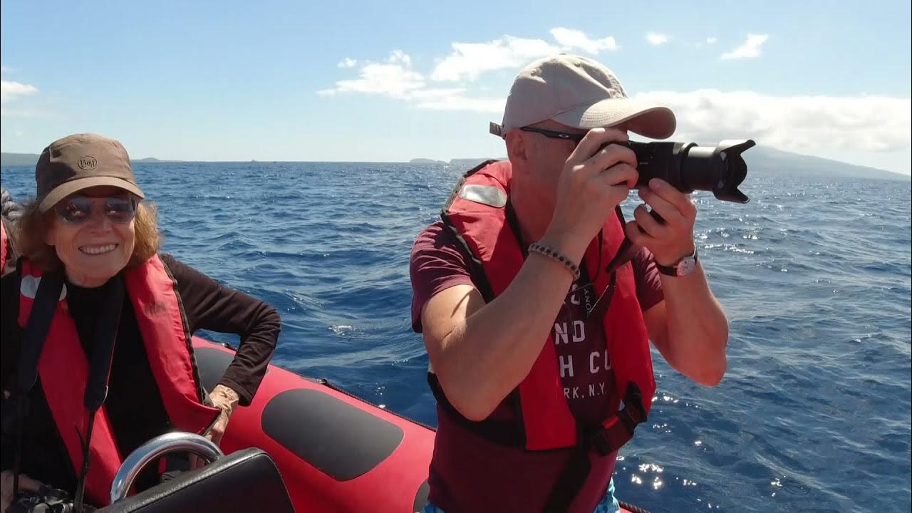 The Azores Archipelago Hope Spot, narrated by Dr. Sylvia Earle YouTube