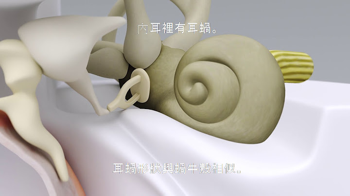 Signia西嘉助听器 听觉的运作 | Signia Hearing Aids - 天天要闻