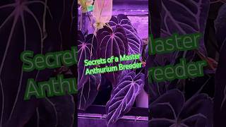 Grant Explains Why He Looks For Unique Traits Over Copy-Pasting The Parent Plants.